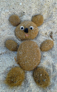 Strandbärchen aus Seegrasballen im Sand