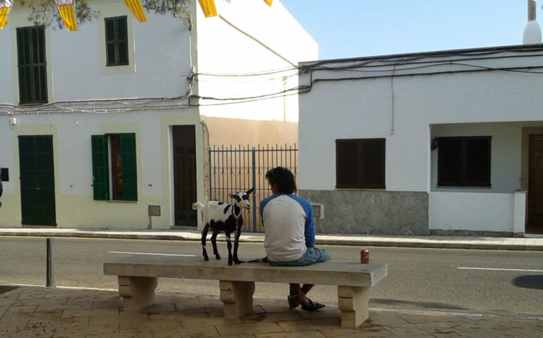 Ziegenpeter sitzt mit seiner Ziege auf einer Steinbank in Alqueria Blanca, Mallorca