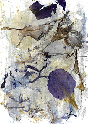 ARTEPostal Karte 0620-2, „Flor de Iris“, Blütencollage