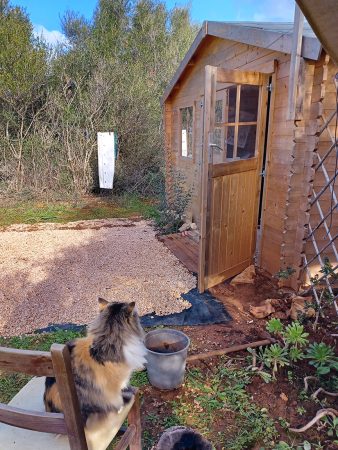 Das neue Malhäuschen mit ersten Vorbereitungen für den Malplatz davor. Links auf einem Stuhl sitzt Katze Emma und guckt zum Häuschen.